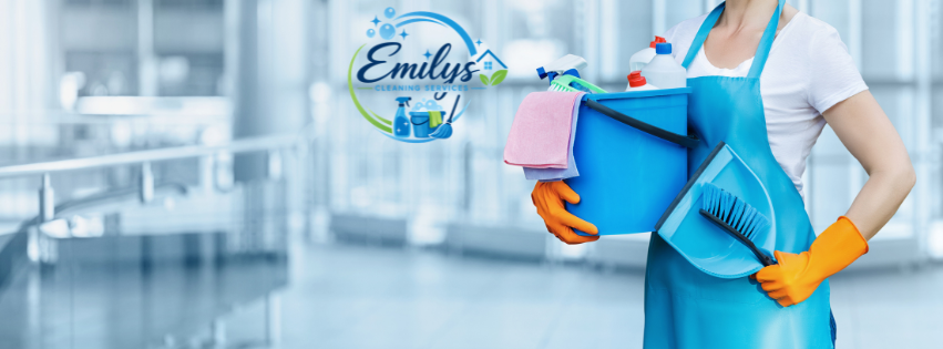 Professional home cleaning service